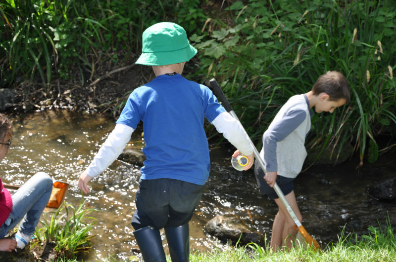 Primary boys fishing in a river stream